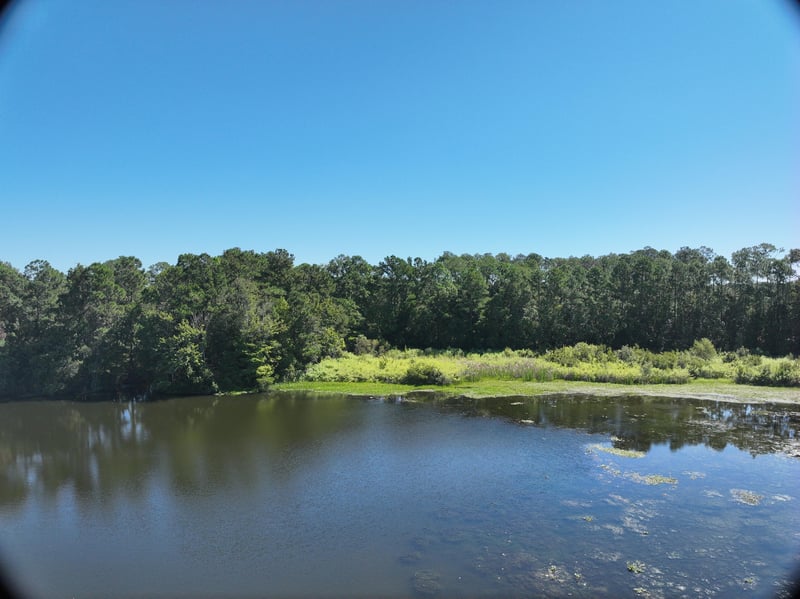 Pavilion_50ft_E_photo at Live Oak Trail, Jacksonville, FL 32225