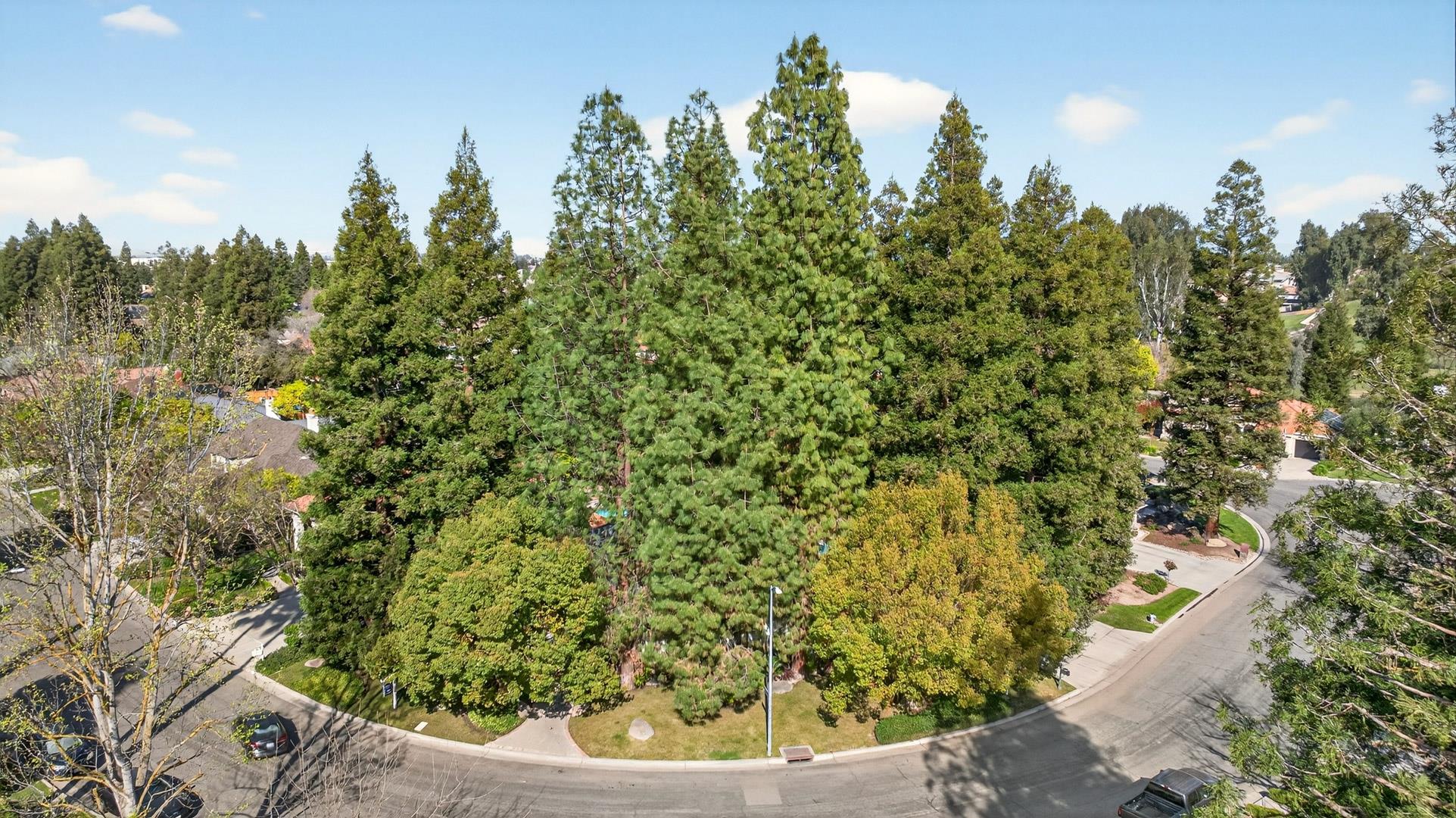 816 E Country View Cir, photo 10