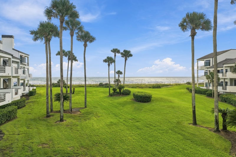 Lawn panorama with palm trees in Ponte Vedra Beach, FL