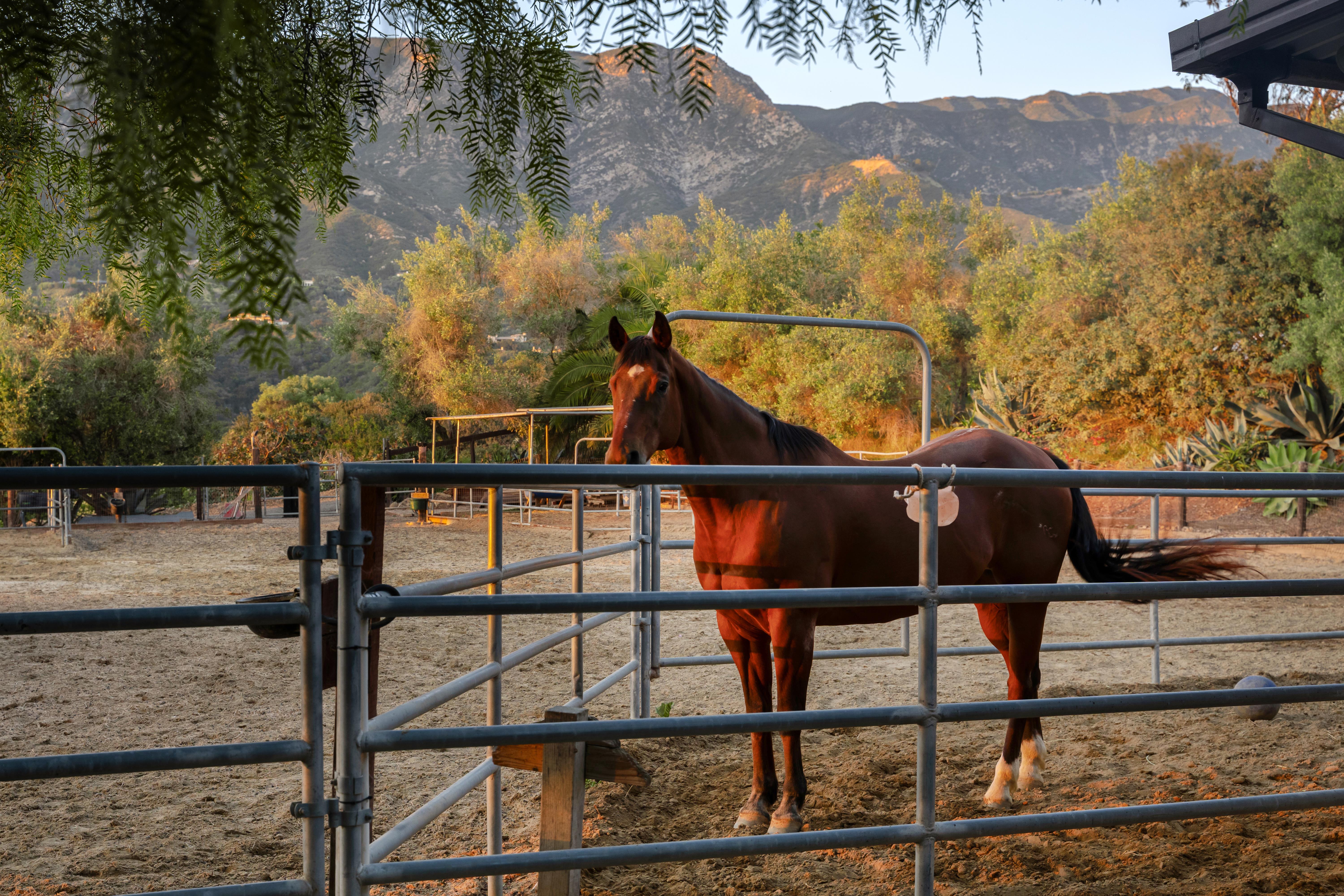 Real estate video production still frame from 11 Hunt Drive Santa Barbara — cinematic property tour by VirTour Media