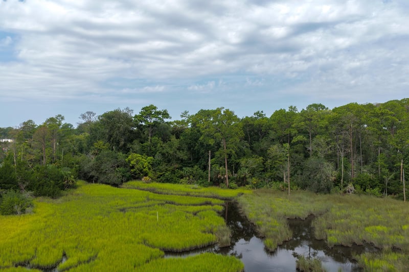 Aerial view of marsh and tree line under cloudy sky at 1818 Elm St, Jacksonville, FL 32208