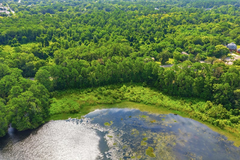 Photo 8 of Live Oak Trail, Jacksonville, FL 32225, photographed by Megapixeler