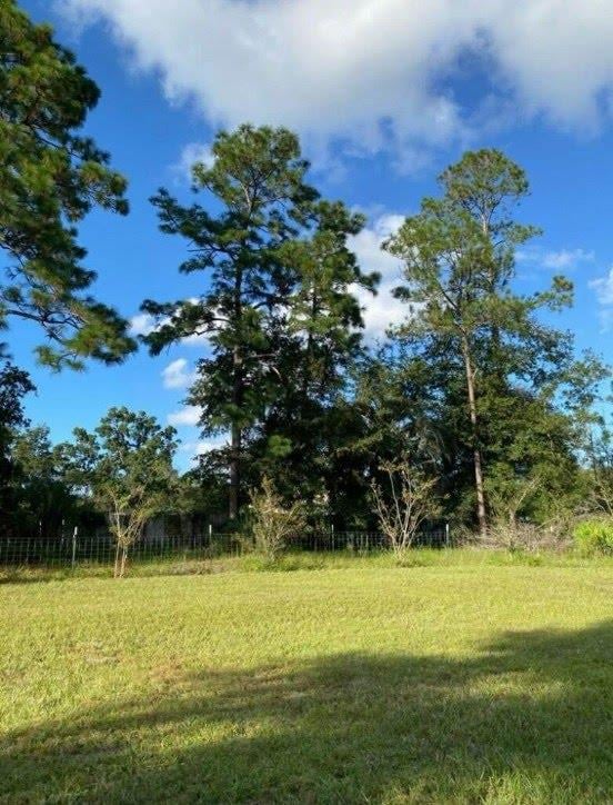 Wooded tree view on the property at 4890 McAllister Rd, Middleburg, FL 32068