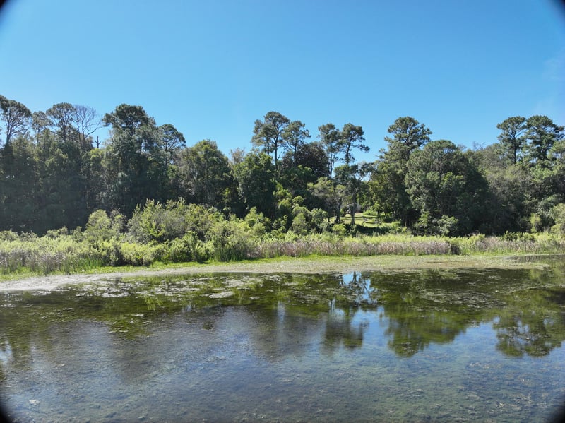 FromWater-Promenade_22ft_S_photo at Live Oak Trail, Jacksonville, FL 32225