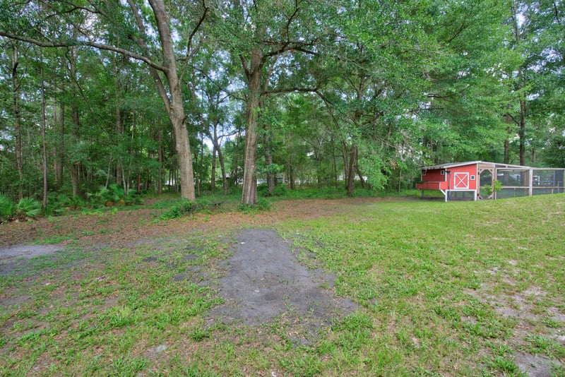 Open grass yard bordered by trees at 2549 Snapdragon Ave, Middleburg, FL 32068