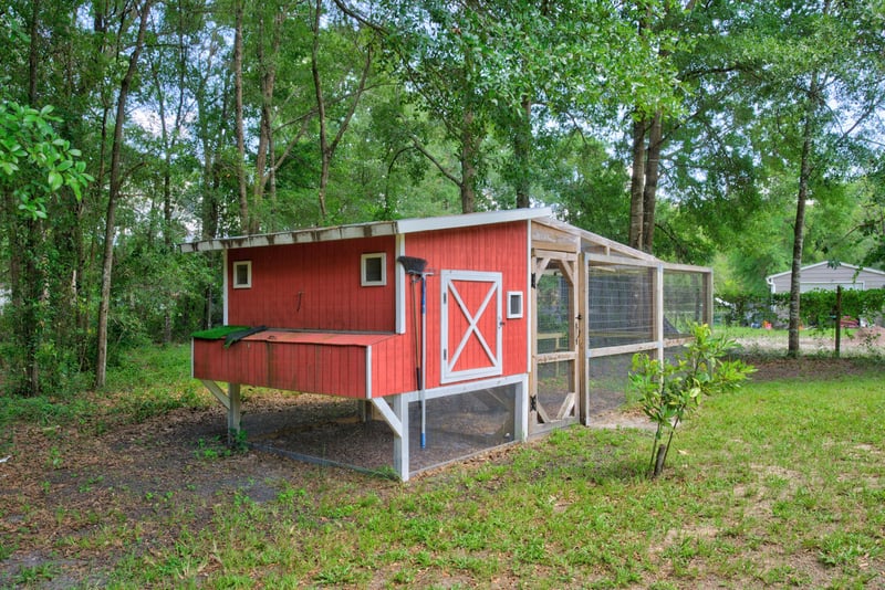Red chicken coop in the yard at 2549 Snapdragon Ave, Middleburg, FL 32068