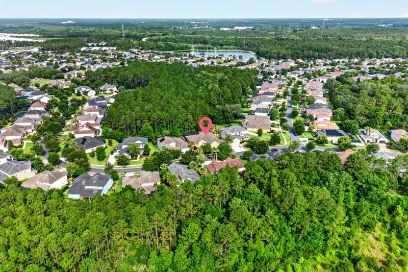 Aerial view of tree-lined subdivision in Ponte Vedra Beach, FL